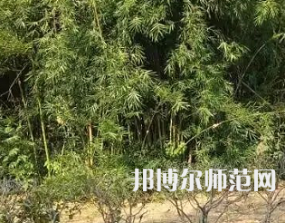 湖南理工師范學院南湖學院2023年怎么樣、好不好