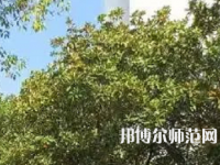 湖南理工師范學(xué)院南湖學(xué)院2023年怎么樣、好不好