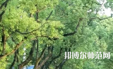 湖南理工師范學院南湖學院2023年報名條件、招生要求、招生對象