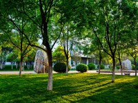 山東財(cái)經(jīng)師范大學(xué)圣井校區(qū)2023年怎么樣、好不好