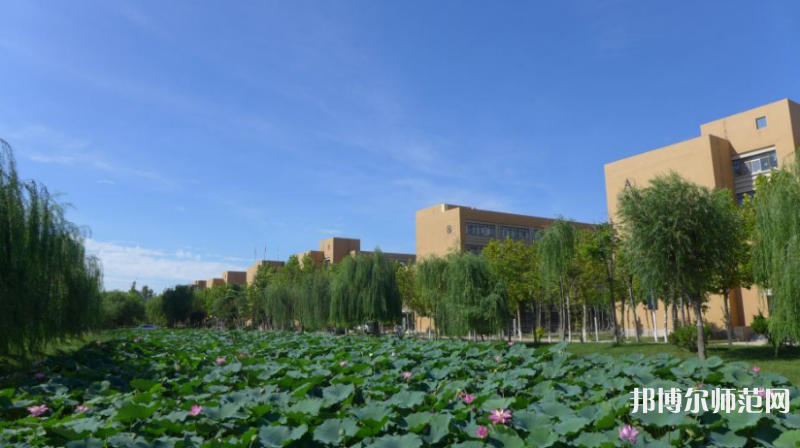 東營職業(yè)師范學(xué)院2023年報(bào)名條件、招生要求、招生對象 