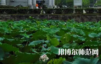 南華師范大學紅湘校區(qū)2023年報名條件、招生要求、招生對象