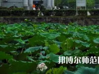 南華師范大學(xué)紅湘校區(qū)2023年報(bào)名條件、招生要求、招生對(duì)象