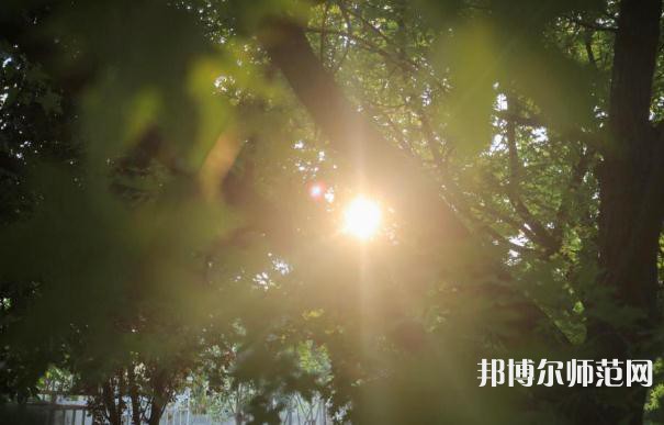 咸陽(yáng)職業(yè)技術(shù)師范學(xué)院2023年報(bào)名條件、招生要求、招生對(duì)象