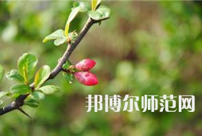 西安幼兒師范職業(yè)學校2023年學費、收費多少