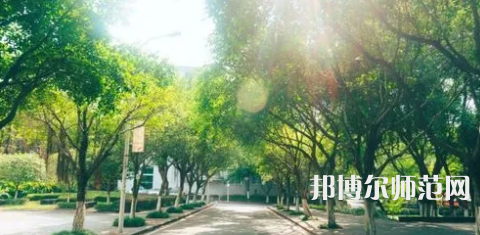 重慶師范大學(xué)涉外商貿(mào)學(xué)院合川校區(qū)2023年報(bào)名條件、招生要求、招生對(duì)象 