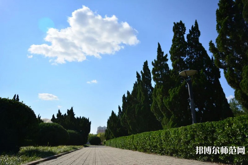 山東石油化工師范學(xué)院2023年報(bào)名條件、招生要求、招生對象 