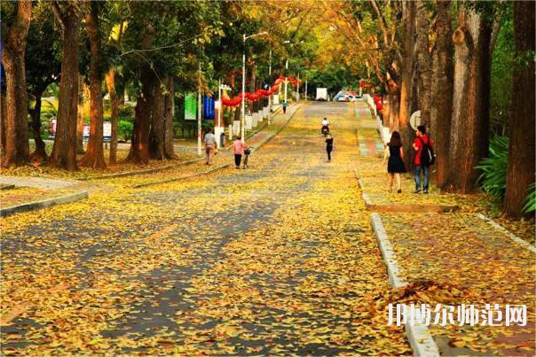 海南大學(xué)師范學(xué)院海甸校區(qū)2023年報(bào)名條件、招生要求、招生對(duì)象 