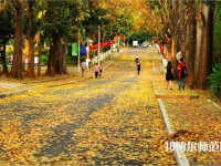 海南大學師范學院海甸校區(qū)2023年報名條件、招生要求、招生對象