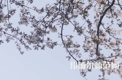 湖南第一師范學(xué)院城南書院校區(qū)2023年學(xué)費、收費多少