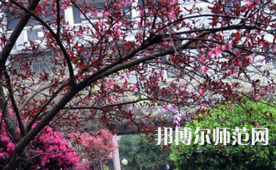 湖南第一師范學(xué)院城南書院校區(qū)2023年怎么樣、好不好
