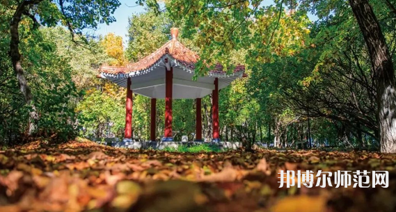 黑龍江師范大學(xué)2023年報(bào)名條件、招生要求、招生對(duì)象 