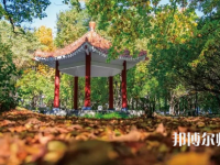 黑龍江師范大學(xué)2023年報(bào)名條件、招生要求、招生對(duì)象