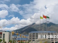 拉薩師范高等?？茖W校2023年招生代碼