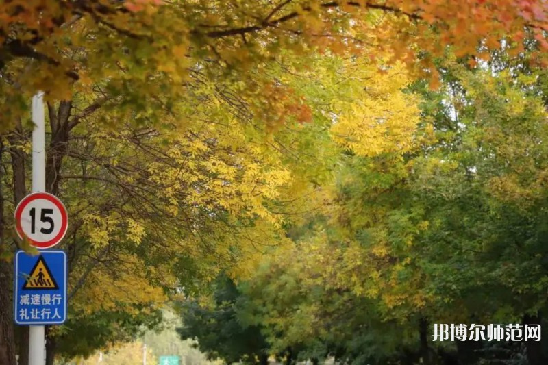 濟南幼兒師范高等專科學(xué)校2023年有哪些專業(yè)