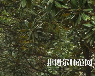 湖南師范大學(xué)樹達(dá)學(xué)院2023年學(xué)費、收費多少