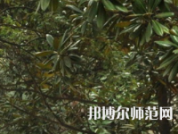 湖南師范大學(xué)樹(shù)達(dá)學(xué)院2023年學(xué)費(fèi)、收費(fèi)多少
