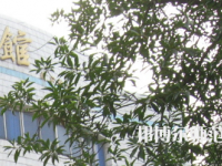 湖南師范大學(xué)樹達(dá)學(xué)院2023年怎么樣、好不好