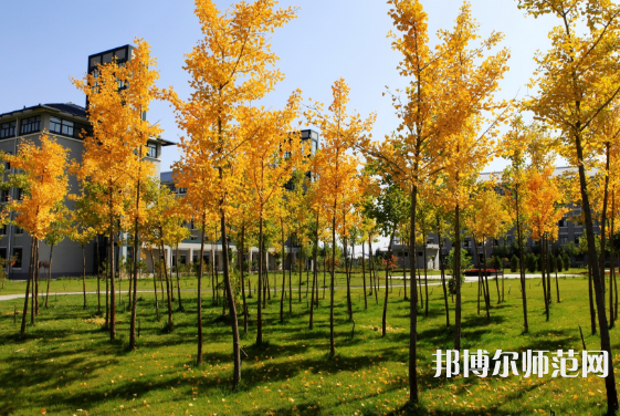 寧夏民族職業(yè)技術師范學院2023年地址在哪里