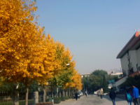 西北師范大學(xué)2023年怎么樣、好不好