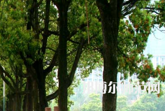衡陽師范學(xué)院南岳學(xué)院2023年怎么樣、好不好