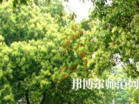 衡陽師范學院南岳學院2023年怎么樣、好不好