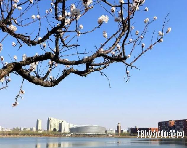 天津理工師范大學(xué)2023年報(bào)名條件、招生要求、招生對(duì)象