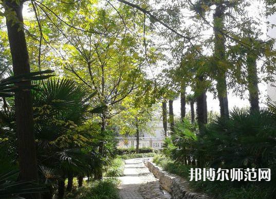 西北大學(xué)師范學(xué)院桃園校區(qū)2023年怎么樣、好不好