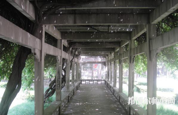 西北大學(xué)師范學(xué)院長安校區(qū)2023年招生計(jì)劃