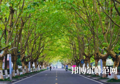 四川農(nóng)業(yè)師范大學(xué)雅安校區(qū)2023年怎么樣、好不好