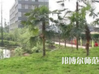2023年瀘州天宇幼師中等職業(yè)技術(shù)學(xué)校報(bào)名條件、招生對象