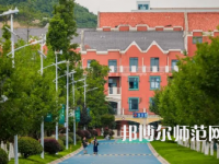 2023年貴陽幼兒師范高等?？茖W校舞蹈表演專業(yè)介紹