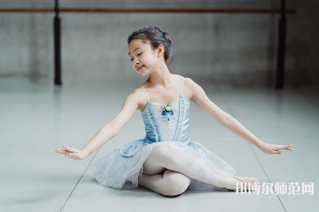 南充電子工業(yè)幼兒師范學(xué)校介紹、地址